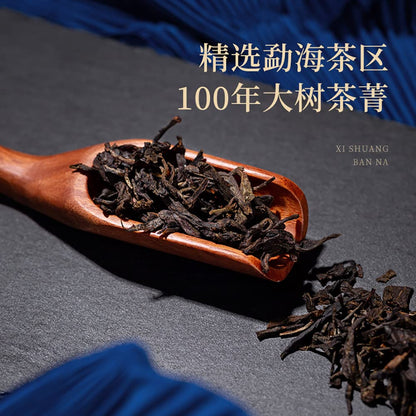 Chen Sheng Hao Xishuangbanna 2016 Raw Pu-Erh Tea Cake 357g