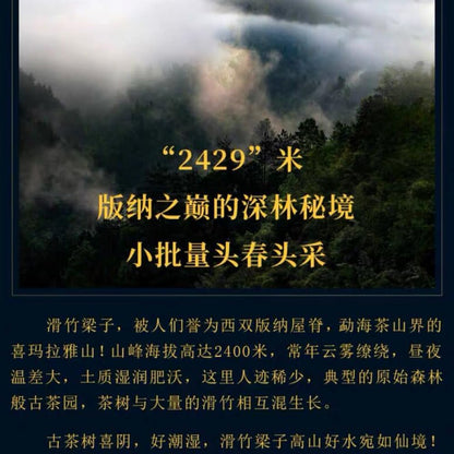 Pu-Erh tea,2020,SHENG JIA YUAN,Slippery Bamboo Beams,357g,Raw