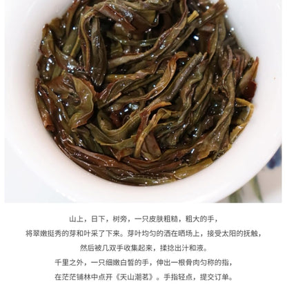 Phoenix Dancong 鳳凰單叢,宋种,春茶濃香型,高端口粮,125g*4,Shipped from China