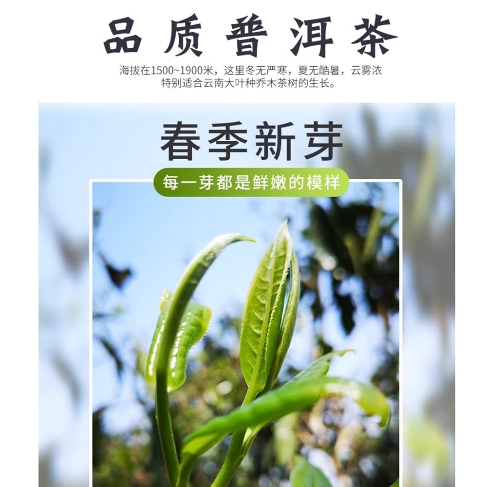 Bafang Tea Garden Menghai Chun Yun Raw Pu-Erh Tea 2017 – 357g