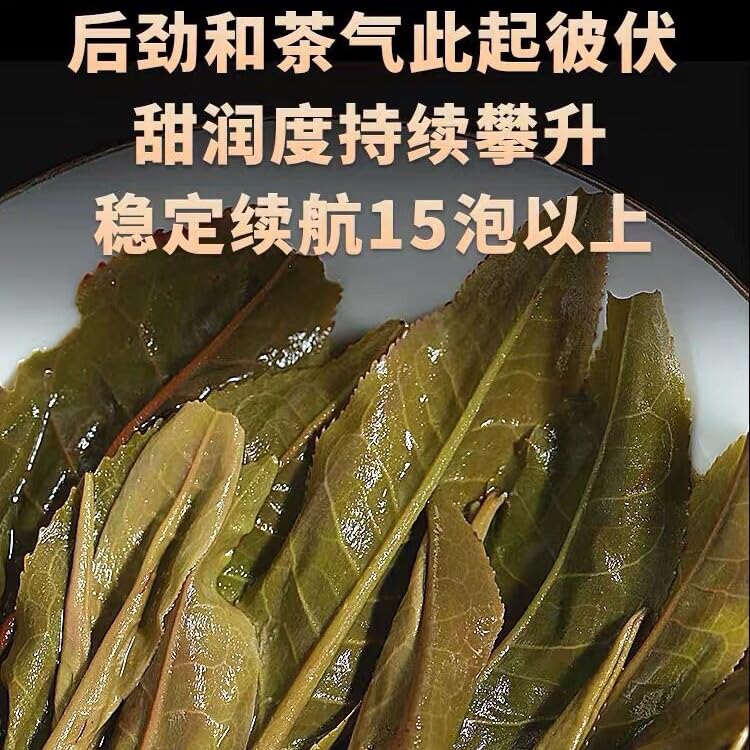 2023 Single Plant Raw Pu-erh Tea Cake, 357g, from Daxue Mountain, Yunnan