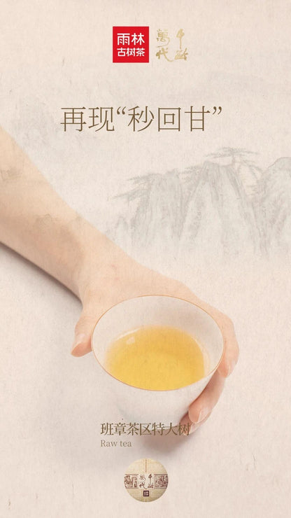 Yulin Ancient Tea 2019 Qian Ling Wan Dai Banzhang Extra Large Ancient Tree Raw Puerh Tea Premium Cake 357g