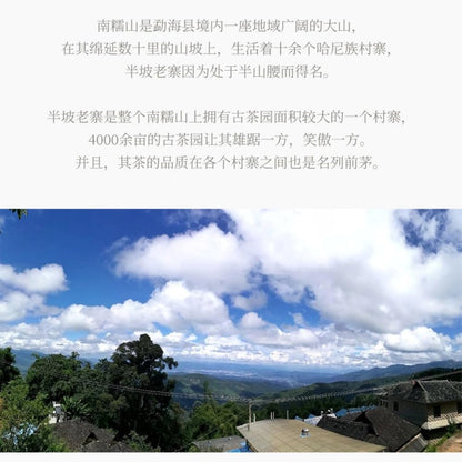 2019 Chen Sheng Hao Nannuo Big Tree Raw Pu-erh Tea Cake, 357g, from Yunnan