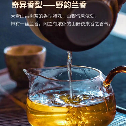 2023 Single Plant Raw Pu-erh Tea Cake, 357g, from Daxue Mountain, Yunnan