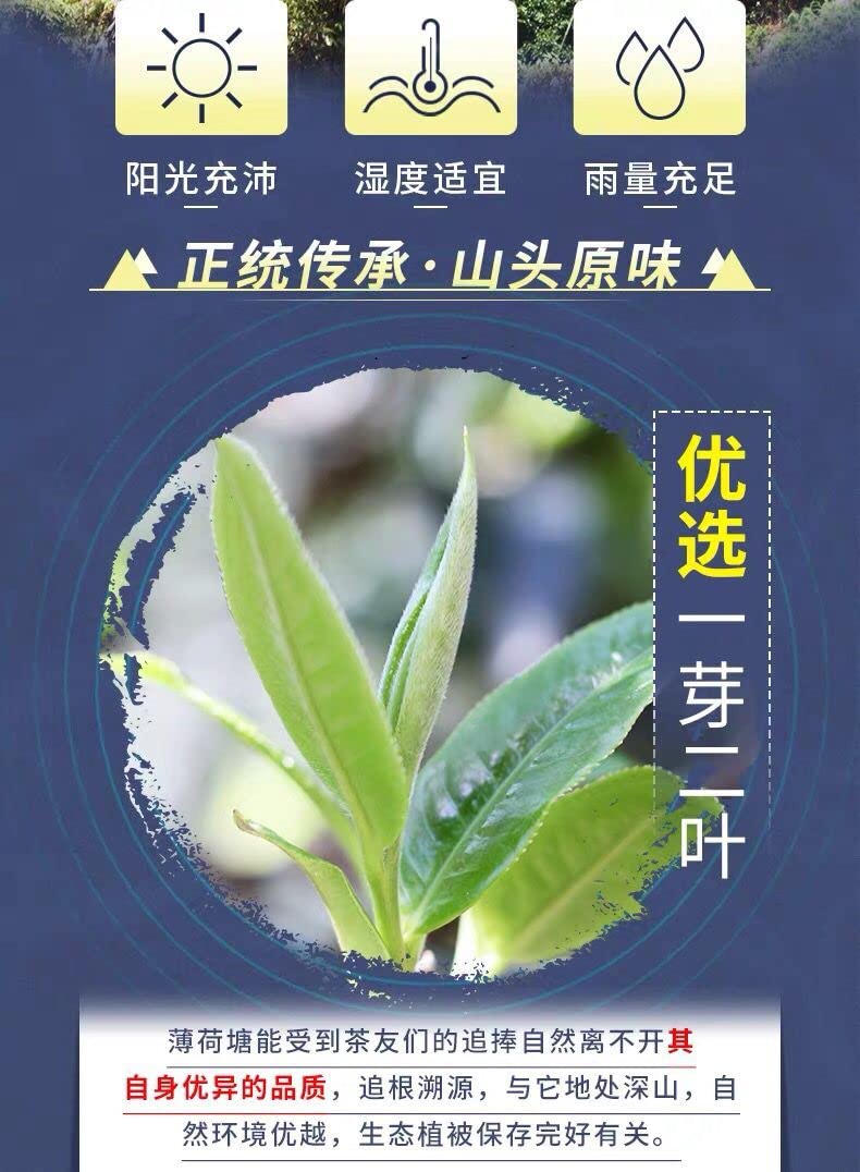 2020 Bohe Tang Raw Pu-erh Tea Cake, 357g, from Yunnan