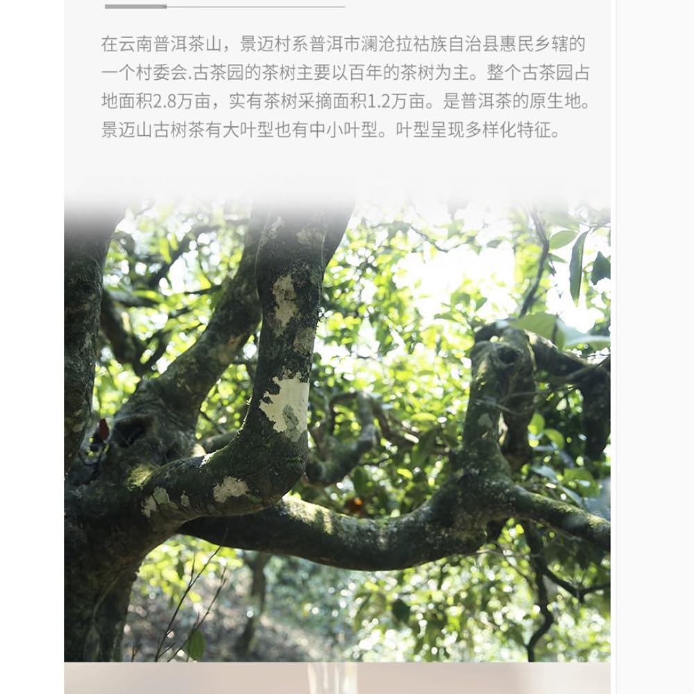 Bailian Jingmai Raw Pu-Erh Tea 2016 – 357g