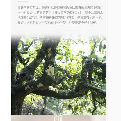 Bailian Jingmai Raw Pu-Erh Tea 2016 – 357g