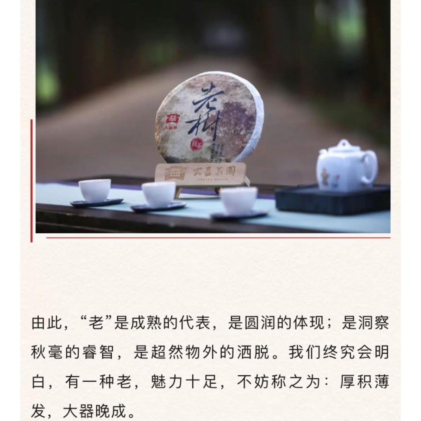 2016 Old Tree Garden Raw Pu-erh Tea Cake, 357g, from Yunnan