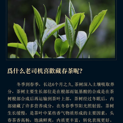 2021 Yiwu Luoshui Dong Raw Pu-erh Tea Cake, 357g, from Yunnan