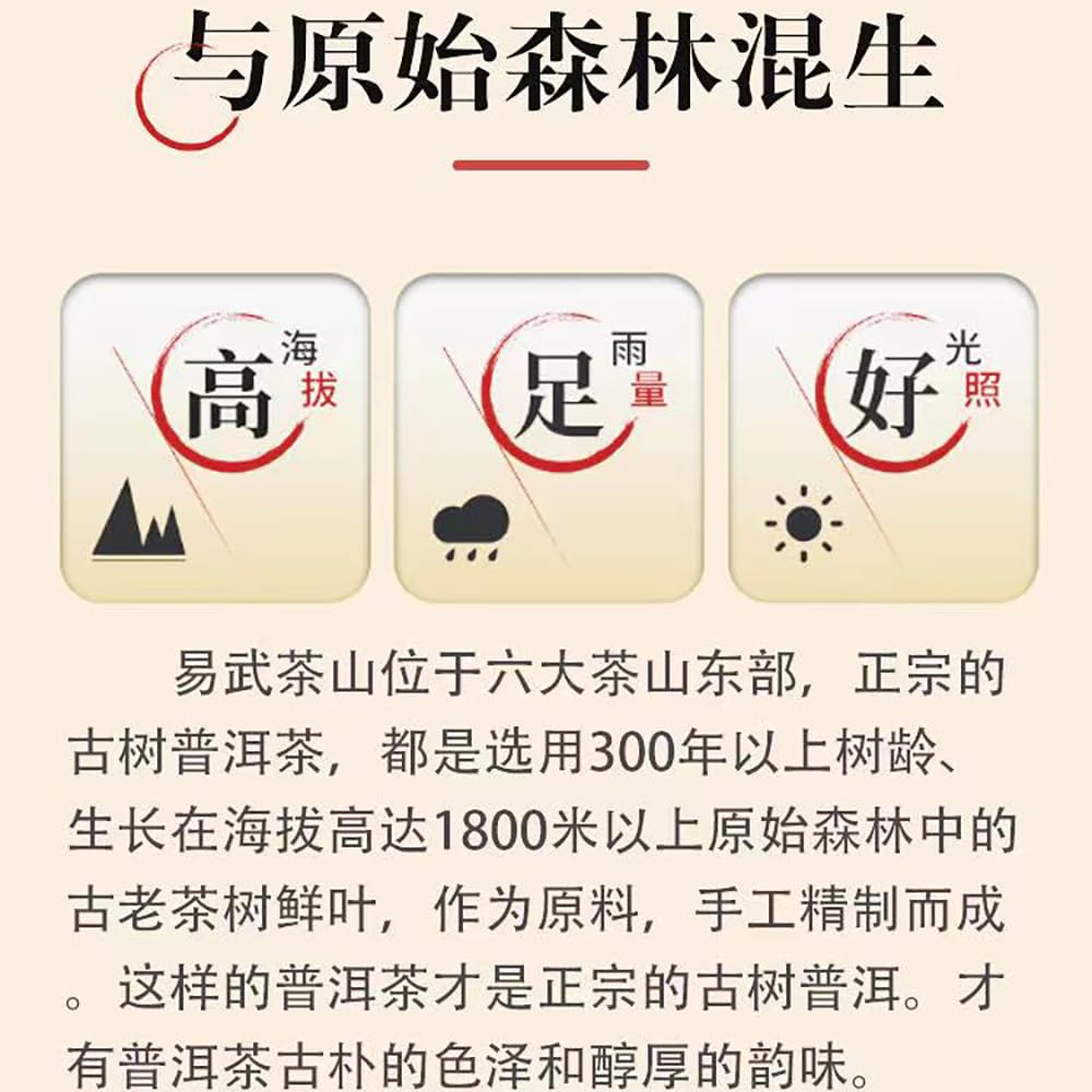 Pu-Erh tea,2016,SHENG JIA YUAN,Yi Wu,357g,Ripe