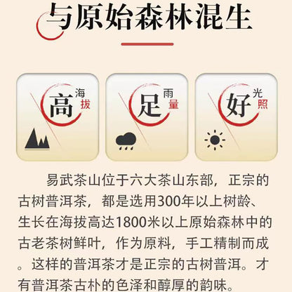 Pu-Erh tea,2016,SHENG JIA YUAN,Yi Wu,357g,Ripe