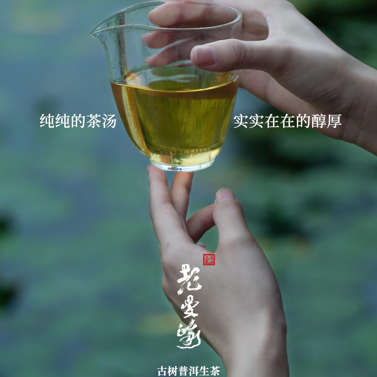 Rainforest Ancient Tree Lao Man'e 2022 Raw Pu-Erh Tea Cake 357g – Premium Yunnan Sheng Puerh