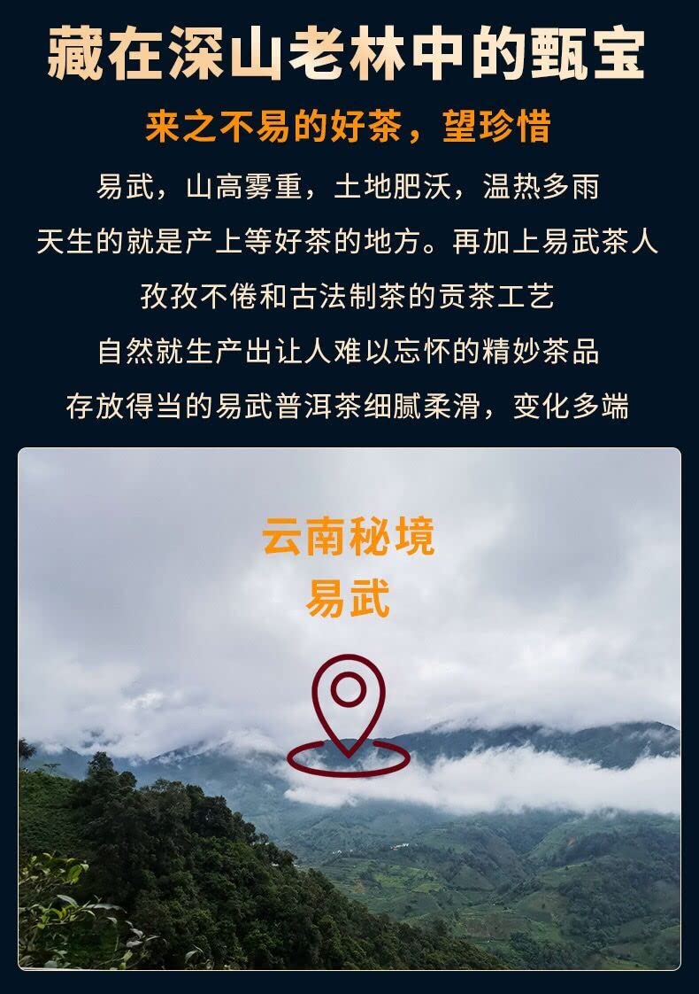 2020 Sheng Jia Yuan Yiwu Ma Black Raw Pu-erh Tea Cake, 357g, from Yunnan