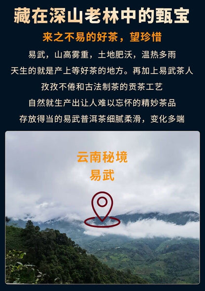 2020 Sheng Jia Yuan Yiwu Ma Black Raw Pu-erh Tea Cake, 357g, from Yunnan