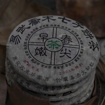 2005 Raw Pu-erh Tea Cake, Yiwu Early Spring Arbor Tea, 357g