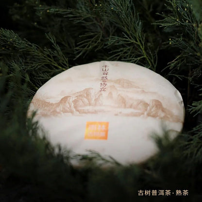 Rainforest Ancient Tree 2018 Teli Ripe Pu-Erh Tea Cake – 357g Premium Shou Puerh
