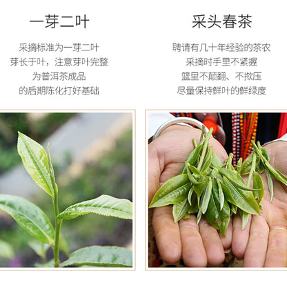 Chen Sheng Hao Chen Xiang Sheng Hua Raw Pu-Erh Tea 2014 – 357g
