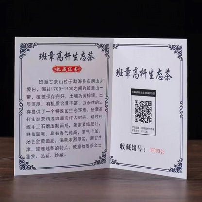 Banzhang Tall Tree Raw Pu-Erh Tea 2021 – 357g