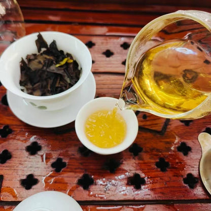 Shihu Dendrobium White Tea Blend, 5g x 100 Sachets (500g Total), Herbal Loose Tea