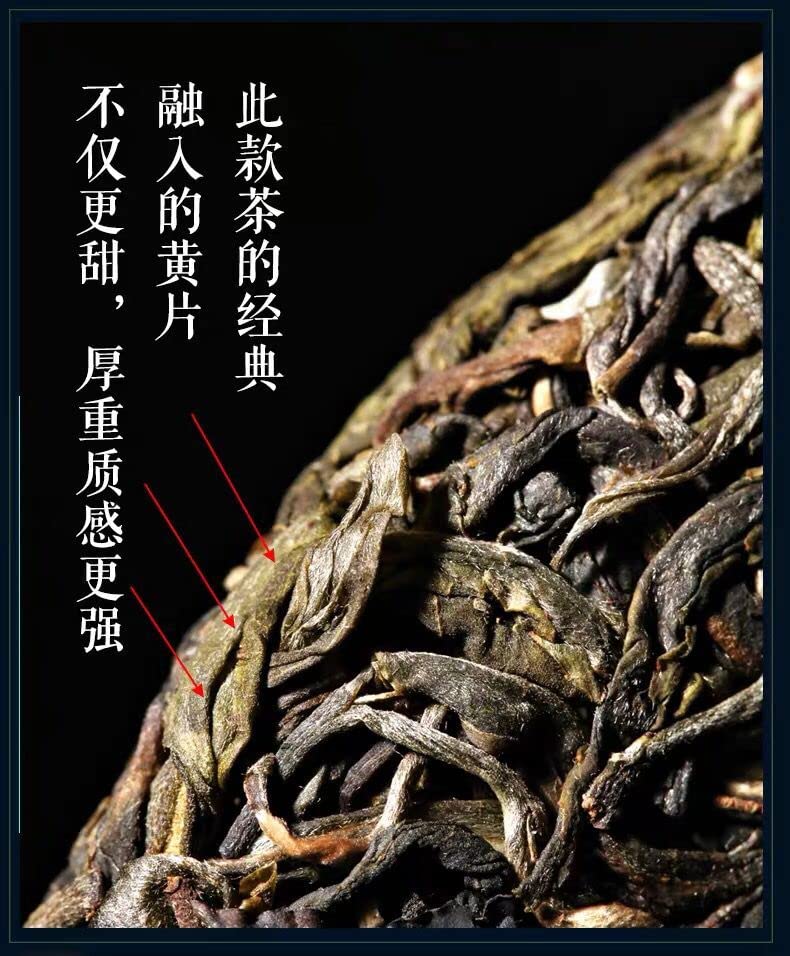 2020 Dongguo Raw Pu-erh Tea Cake, 357g, from Yunnan – SHENG JIA YUAN