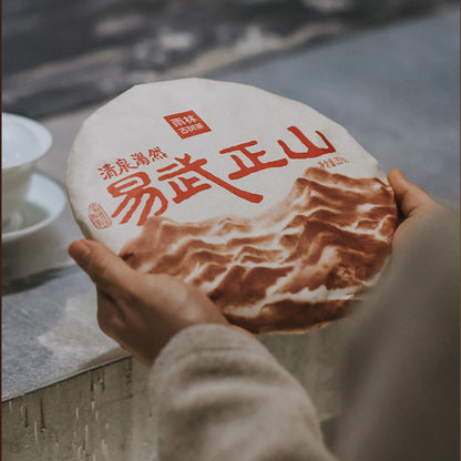 Rainforest Ancient Tree 2020 Yiwu Zhengshan Ripe Pu-Erh Tea Cake – 357g Premium Shou Puerh