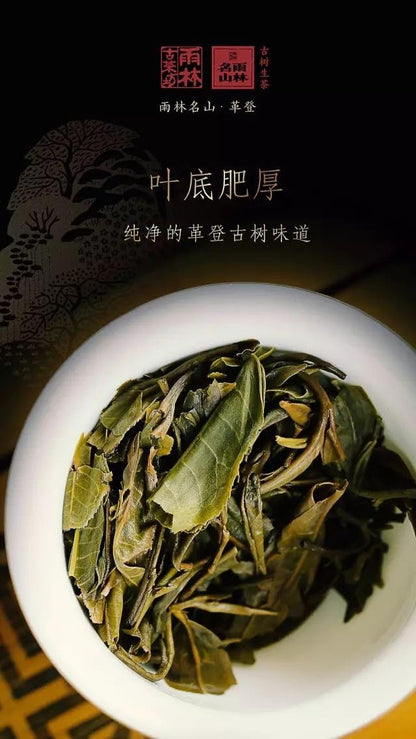 Yulin Ancient Tea 2017 Gedeng Raw Puer Tea Cake Premium Ancient Tree Chinese Puerh 357g