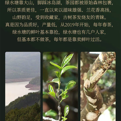 Sheng Jia Yuan Green Pond 2022 Raw Pu-Erh Tea Cake 357g