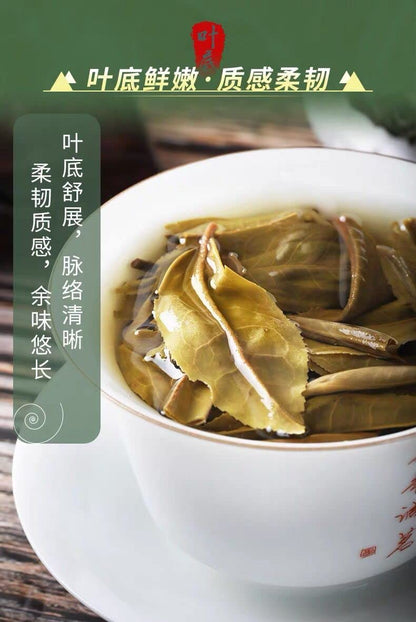 2020 Bohe Tang Raw Pu-erh Tea Cake, 357g, from Yunnan