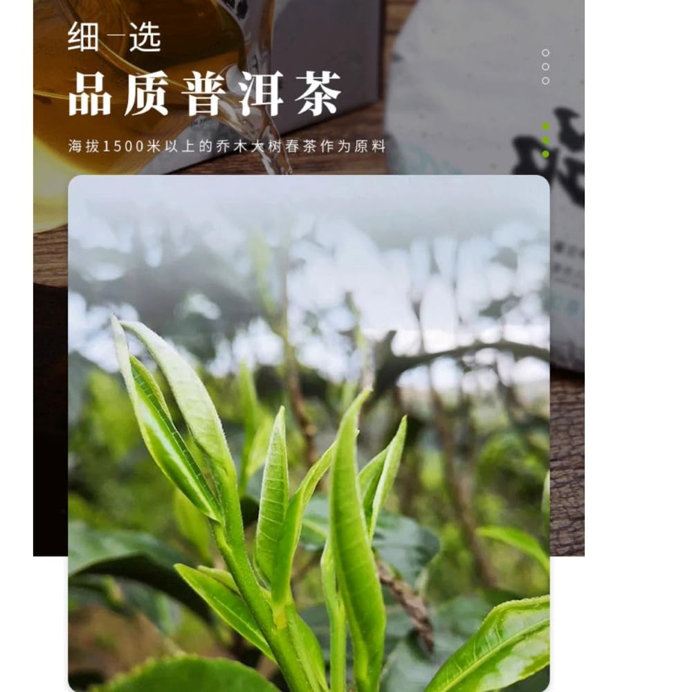 Private Custom Guafengzhai Raw Pu-Erh Tea 2021 – 357g