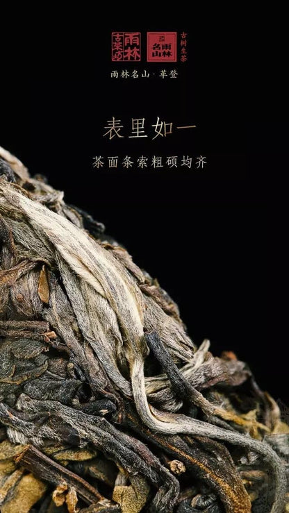 Yulin Ancient Tea 2017 Gedeng Raw Puer Tea Cake Premium Ancient Tree Chinese Puerh 357g