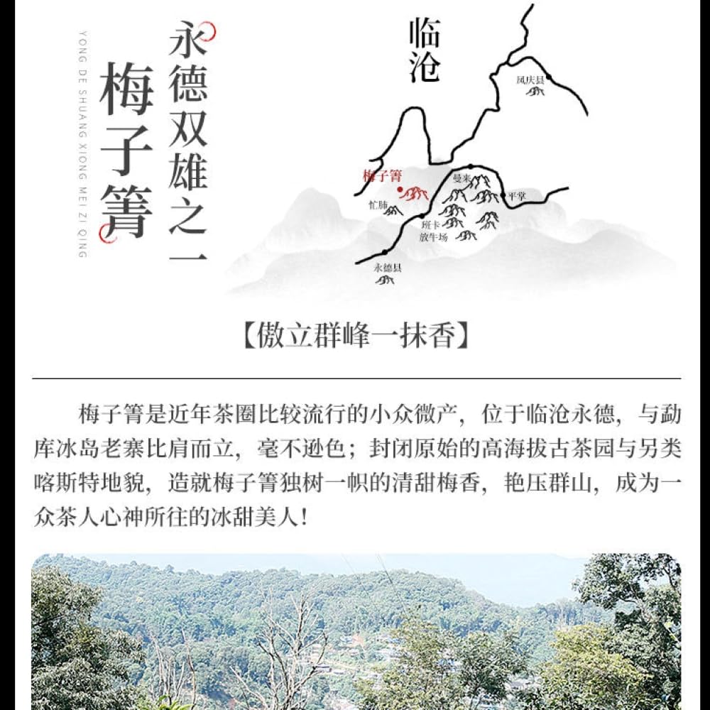 Pu-Erh tea,2022,Mei Ziqing,357g,Raw