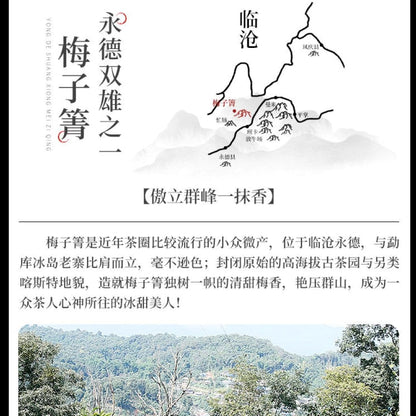 Pu-Erh tea,2022,Mei Ziqing,357g,Raw