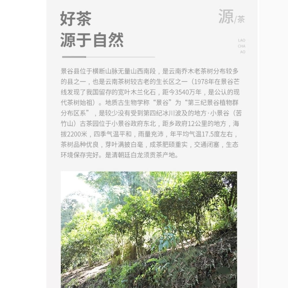 Zhenwei Hao Xiao Jinggu Raw Pu-Erh Tea 2016 – 357g