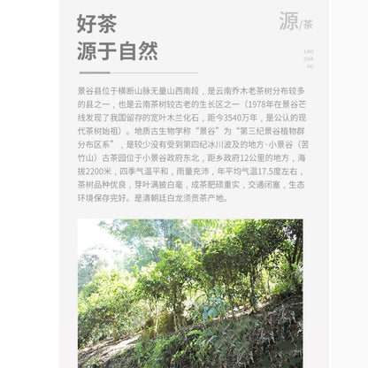 Zhenwei Hao Xiao Jinggu Raw Pu-Erh Tea 2016 – 357g
