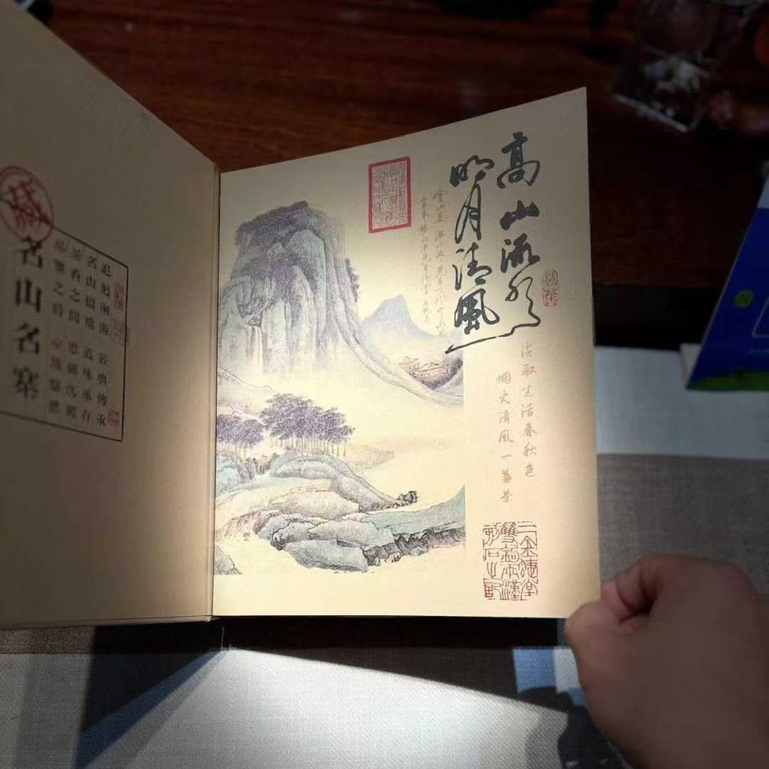 2016 Yiwu Archive Collection Raw Pu-erh Tea 200g×2