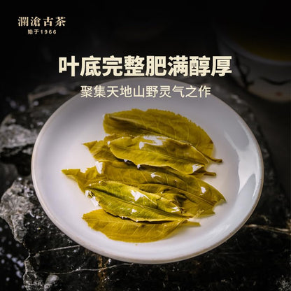 Lancang Ancient Tea 2020 001 Raw Pu-erh Tea Cake 400g