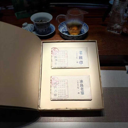 2016 Yiwu Archive Collection Raw Pu-erh Tea 200g×2