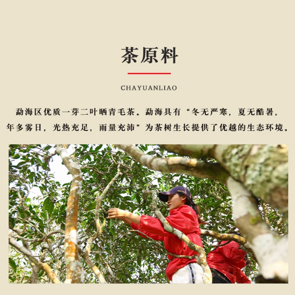 Keyixing Jie Yi Kou 2020 Raw Pu-Erh Tea Cake 357g