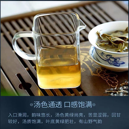 Sheng Jia Yuan 2020 Nannuo Mountain Raw Pu-Erh Tea – 357g (12.6oz) Sheng Puerh Cake – Premium Chinese Tea