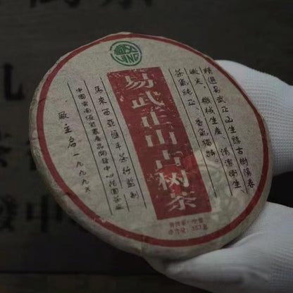 Pu-Erh tea,1999,Yiwu Zhengshan Ancient Tree Tea,357g,Raw