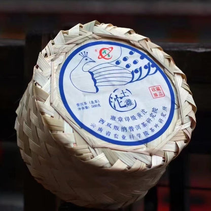 Banzhang Yinji Tribute Tuo Raw Pu-Erh Tea 2022 – 500g