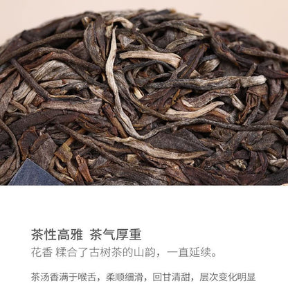 Sheng Jia Yuan 2020 Pasha Raw Pu-Erh Tea – 357g (12.6oz) Sheng Puerh Cake – Premium Chinese Tea