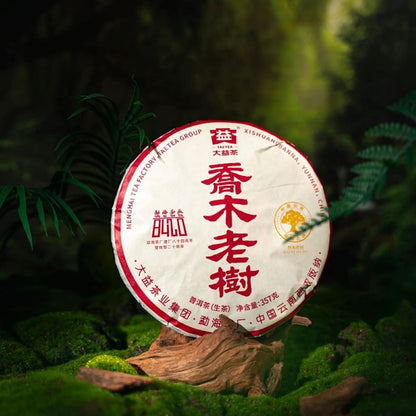 2024 Qiaomu Ancient Tree Raw Pu-erh Tea Cake, 357g, from Yunnan