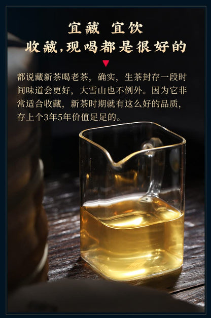 Sheng Jia Yuan 2021 Daxueshan Ancient 200 Pu-Erh Tea, Menghai Tea Region, 357g, Raw