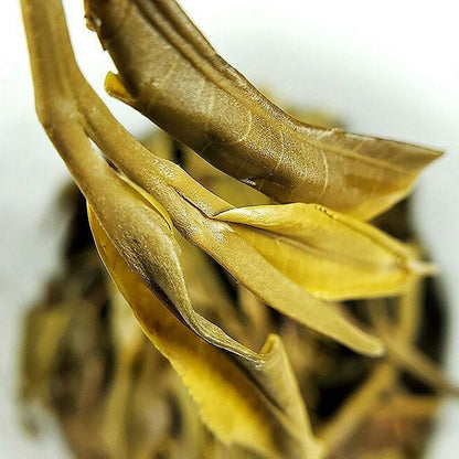 2023 Iceland Spring Tip Pure Ancient Tree Raw Pu-erh Tea Cake, 357g, from Yunnan