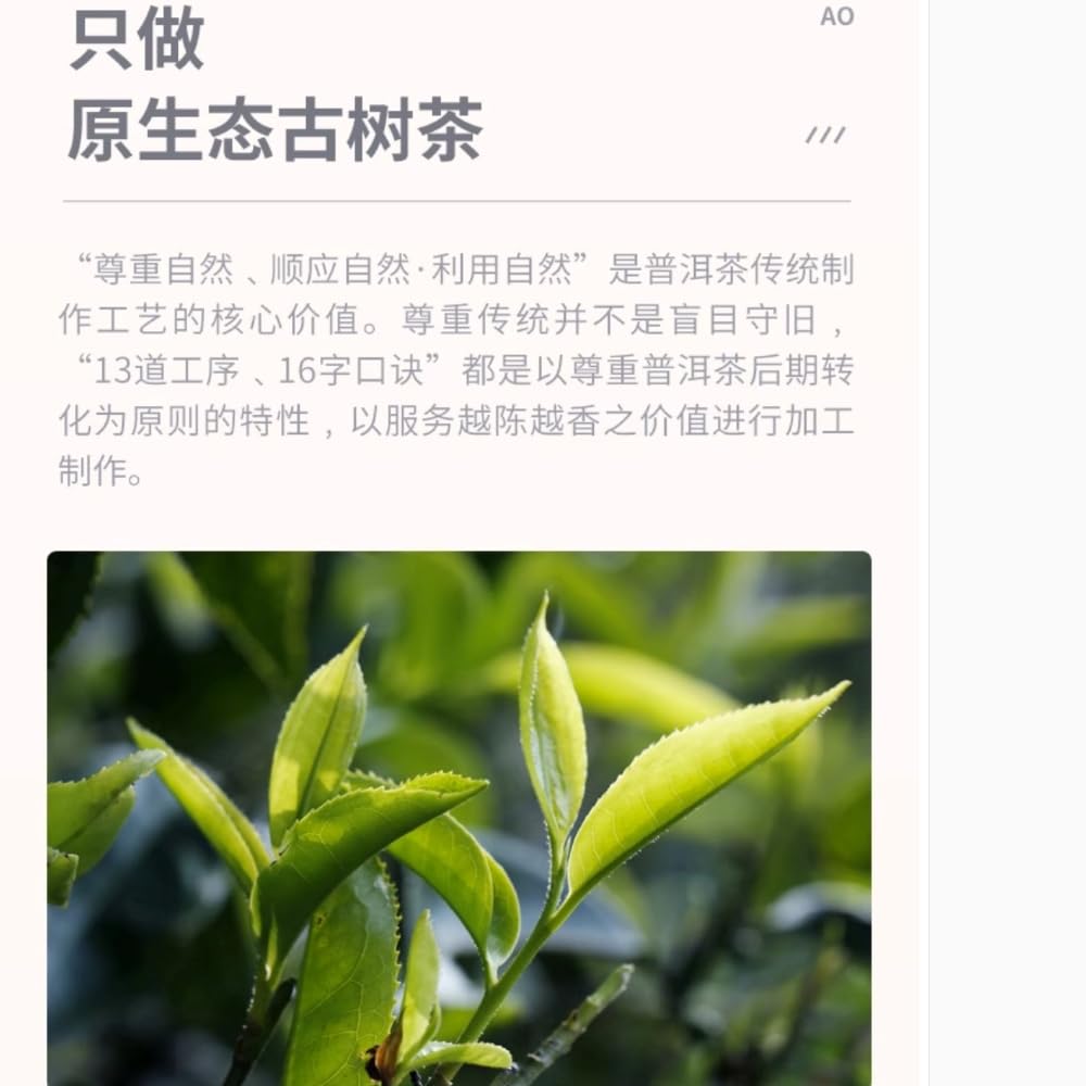 Zhenwei Hao Xiao Jinggu Raw Pu-Erh Tea 2016 – 357g