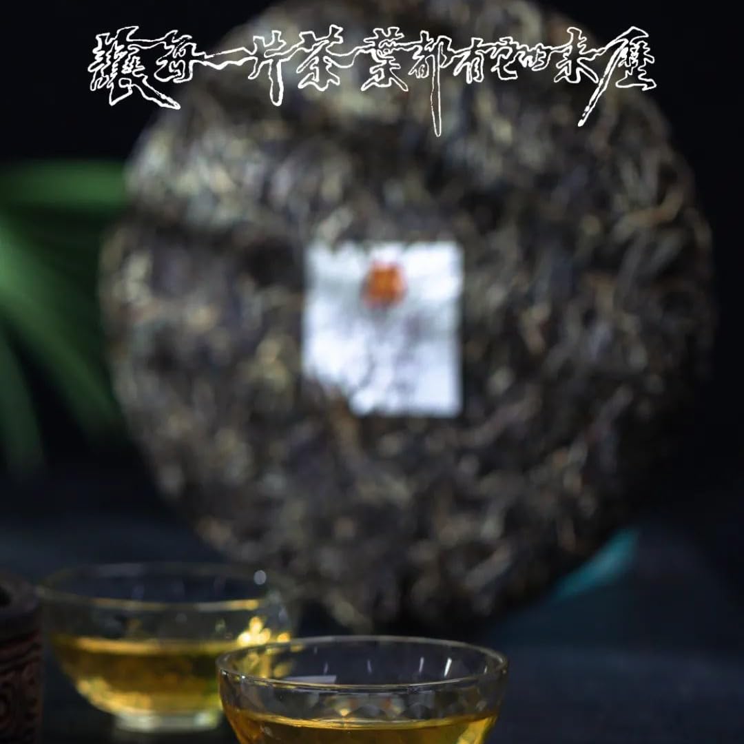 Rainforest Ancient Tree 2021 Da Manlü Raw Pu-Erh Tea Cake – 357g Premium Sheng Puerh