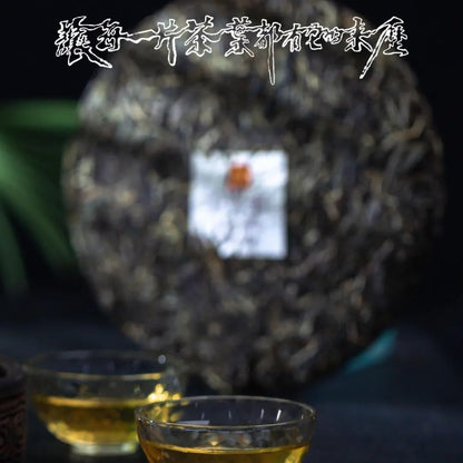 Rainforest Ancient Tree 2021 Da Manlü Raw Pu-Erh Tea Cake – 357g Premium Sheng Puerh
