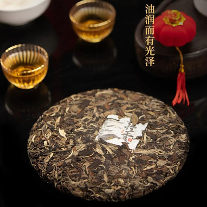 Pu-Erh Tea – 2021 Rainforest Ancient Tree Qingyun White Tea Cake, 357g Sheng Puerh