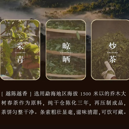 Bafang Tea Garden Yue Chen Yue Xiang Ripe Pu-Erh Tea 2021 – 357g